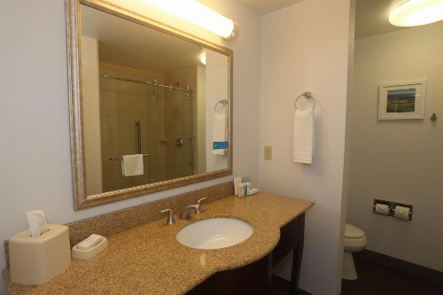 Hampton Inn By Hilton Owego NY image 6